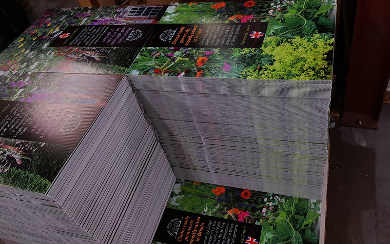 Foamex Printing